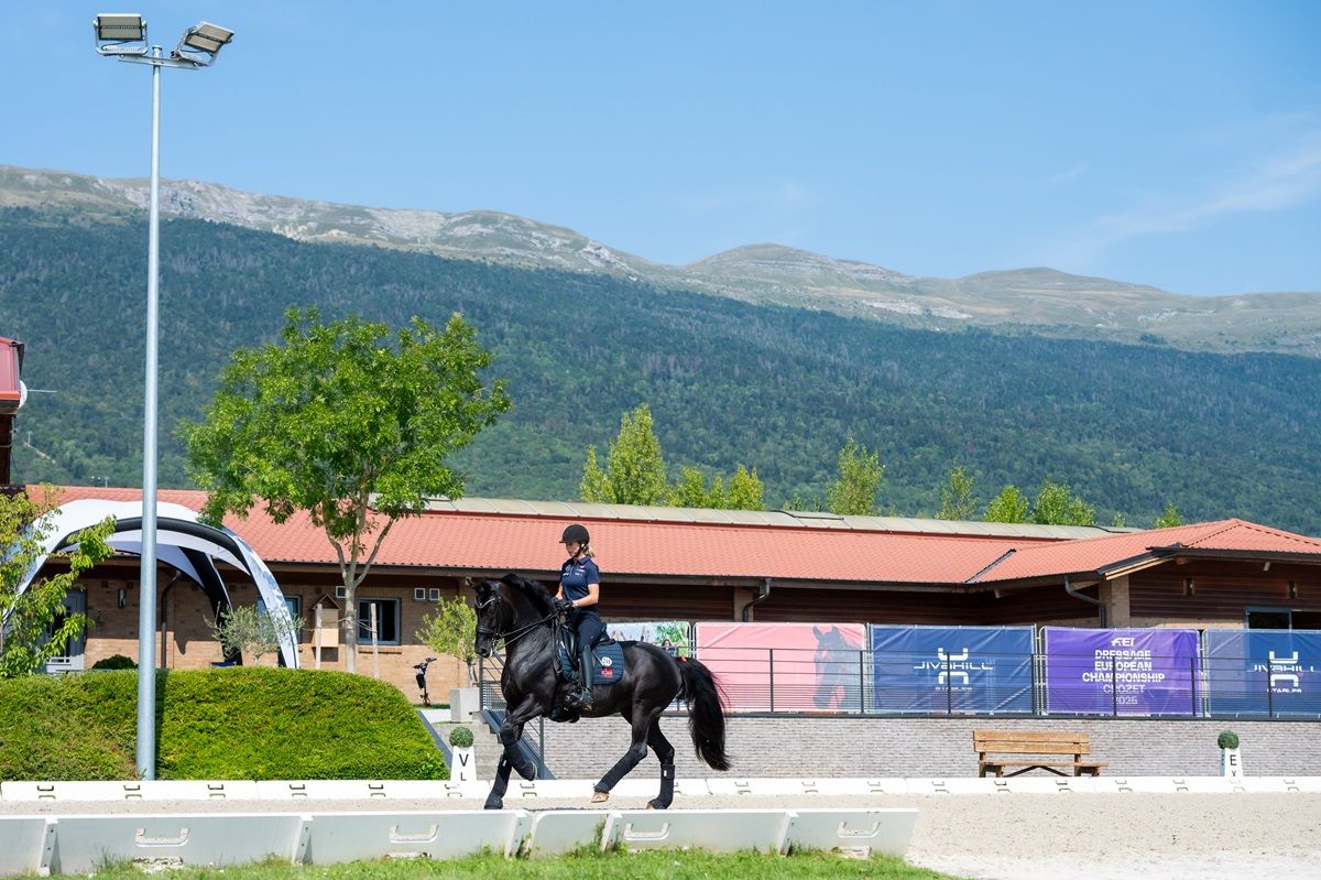 hest / Norges Rytterforbund 