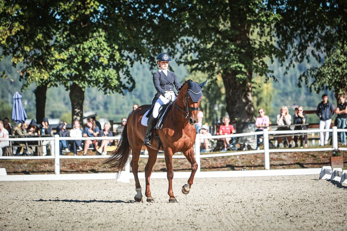 hest / Norges Rytterforbund