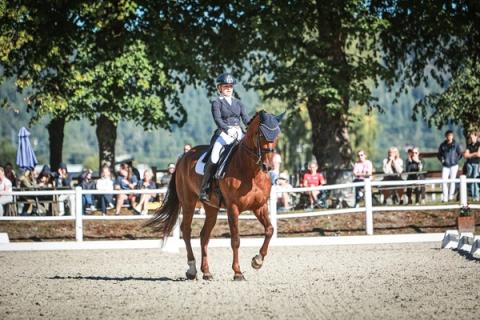 hest / Norges Rytterforbund