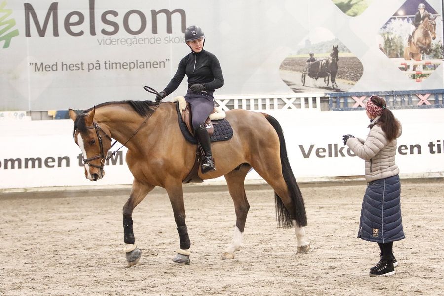 hest Maria Terese Engell