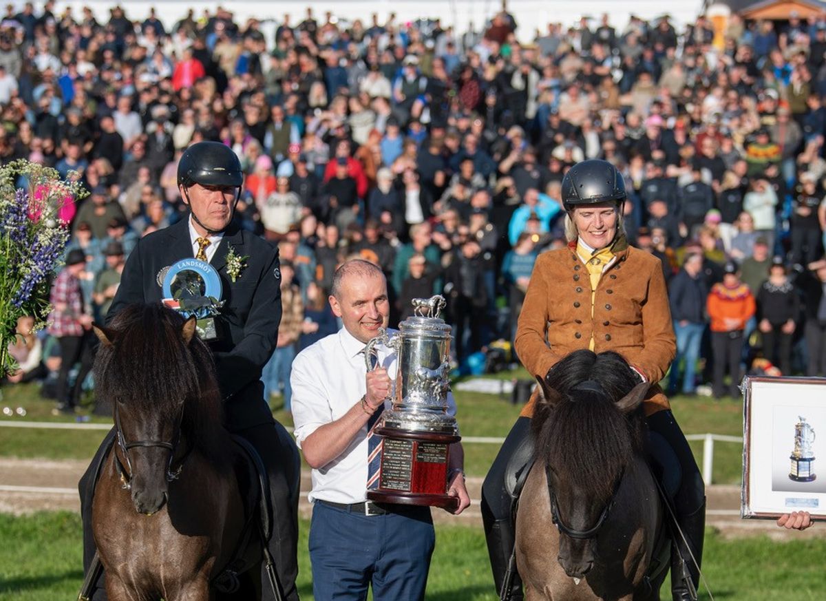 hest / Norges rytterforbund