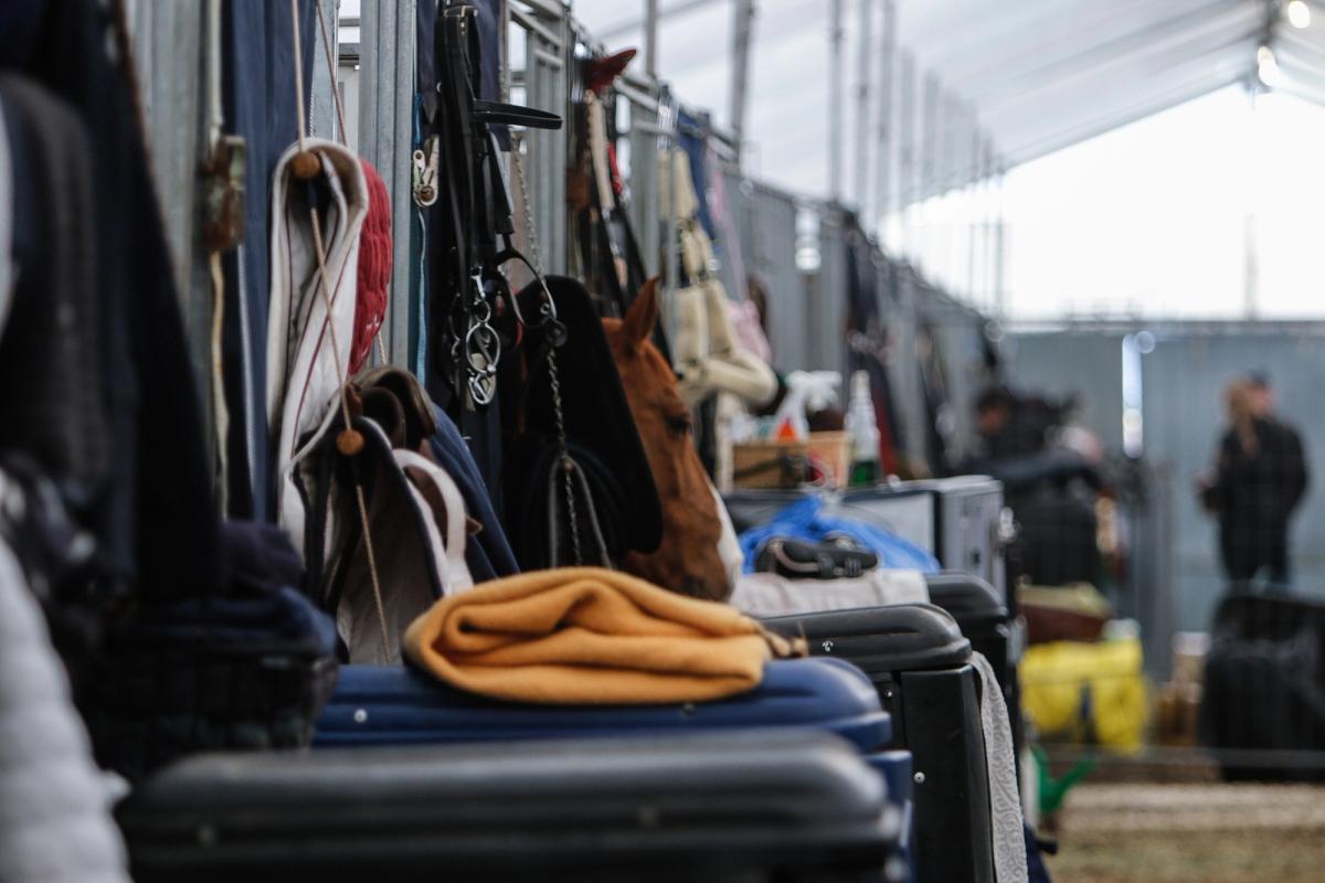 hest / Norges Rytterforbund