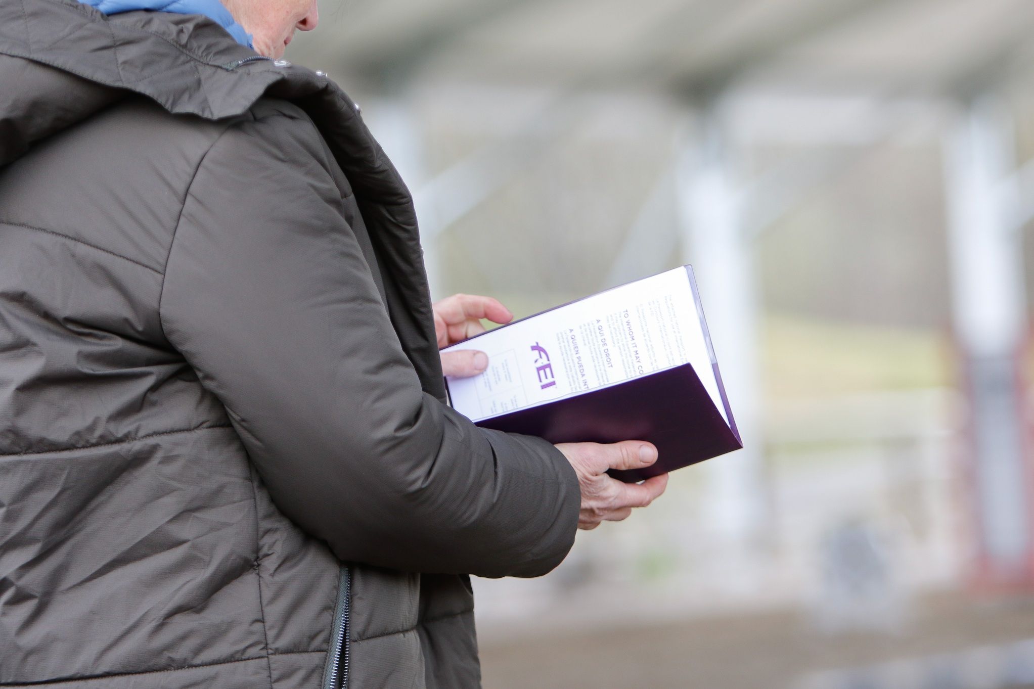 hest / Norges Rytterforbund / FEI Recognition Card