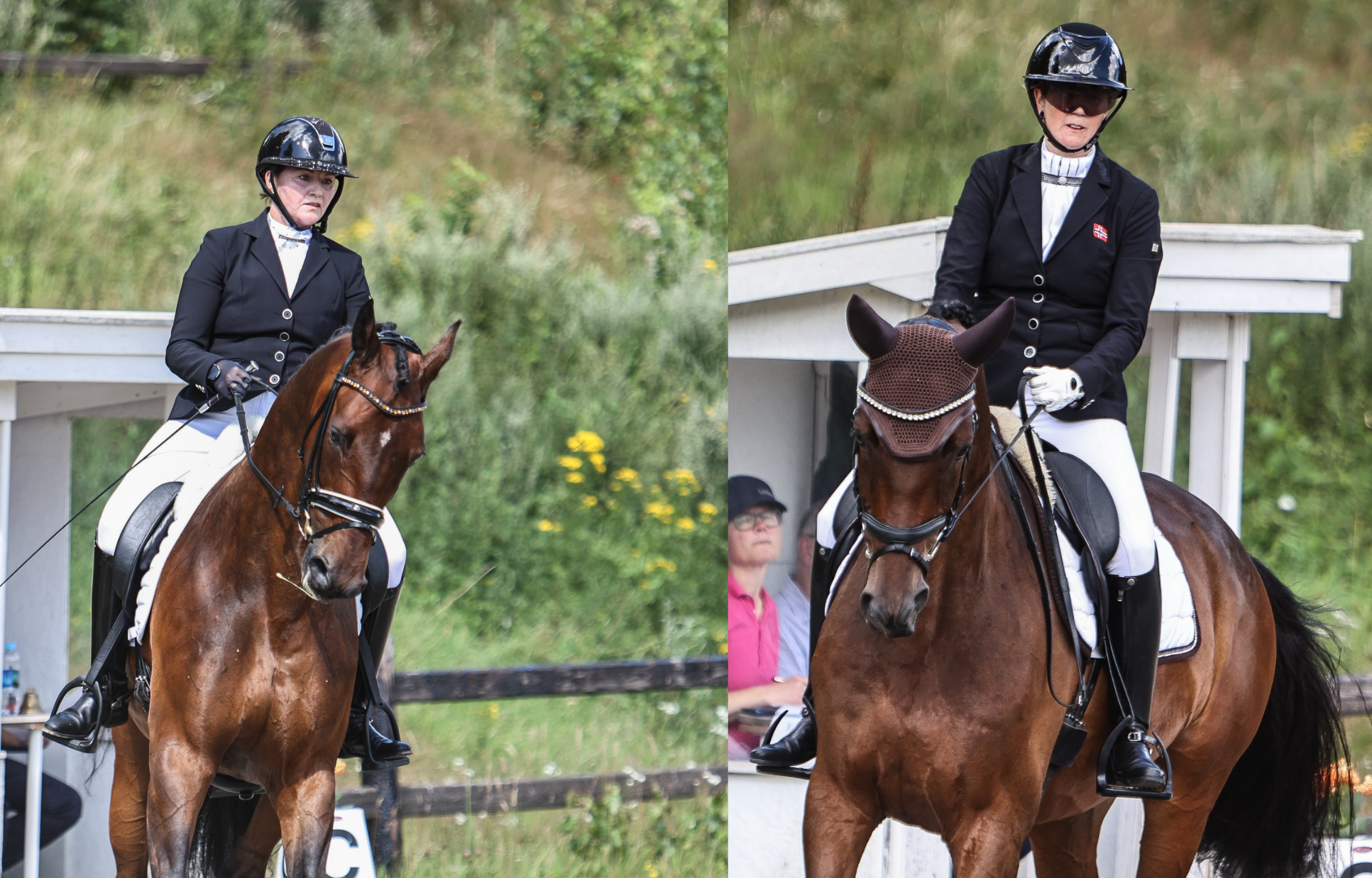 hest / Norges Rytterforbund