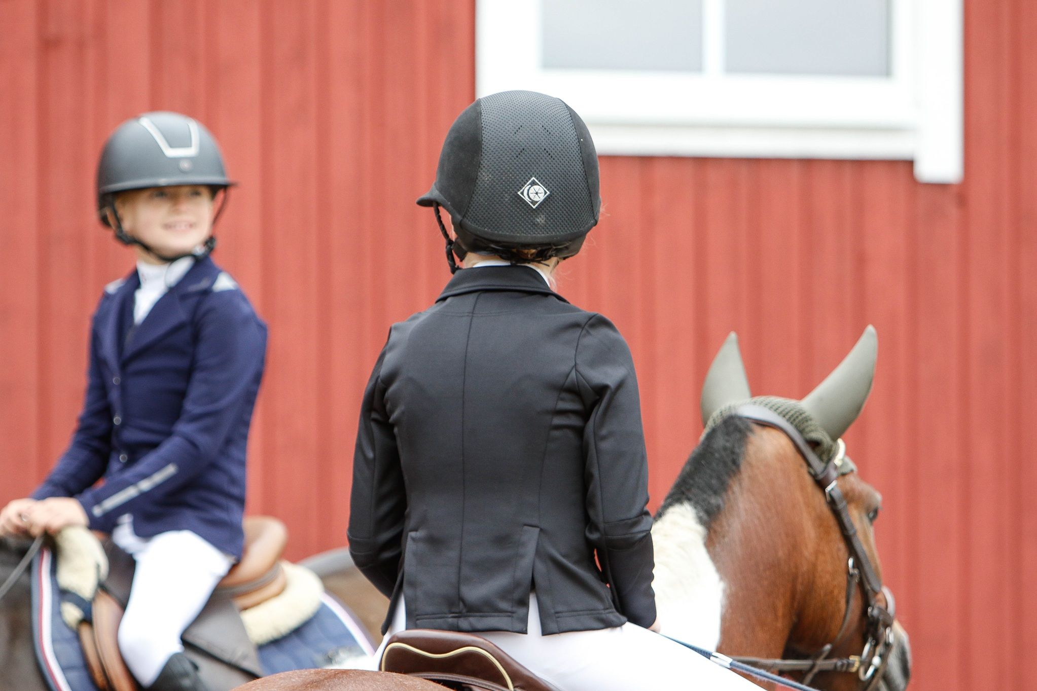 hest / Norges Rytterforbund / Samordnet rapportering 