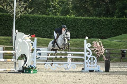 hest / Norges Rytterforbund