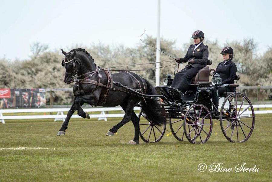 hest / kjøring / Jeanette Lund Støen / Norges Rytterforbund