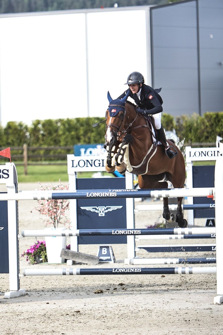 hest / Norges Rytterforbund