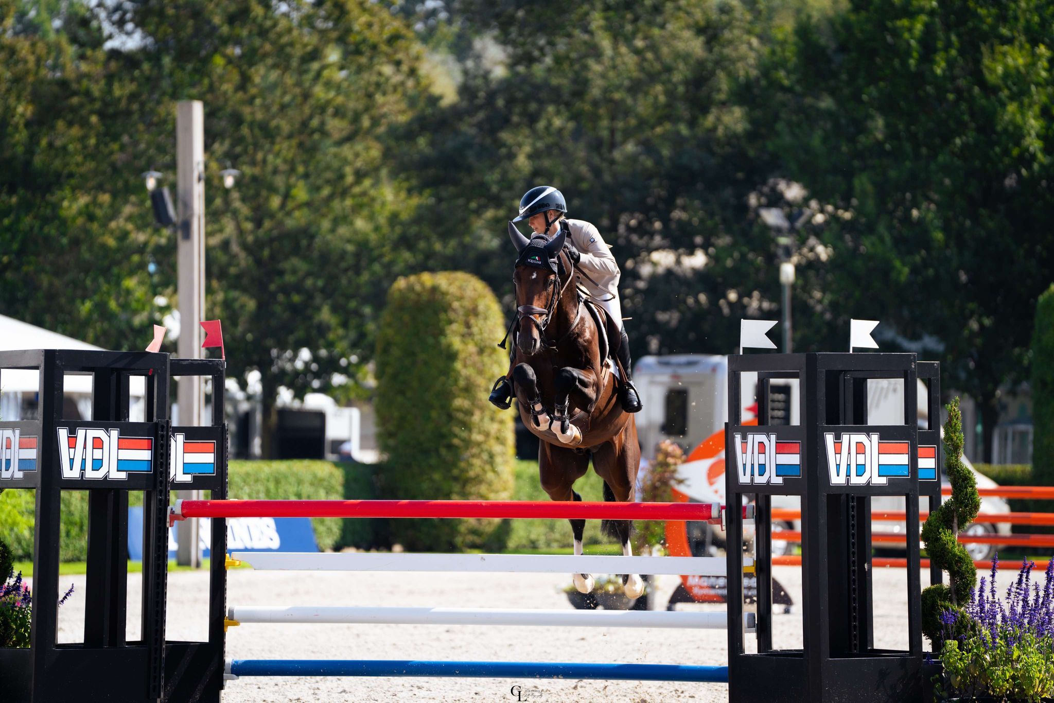 hest / Norges Rytterforbund