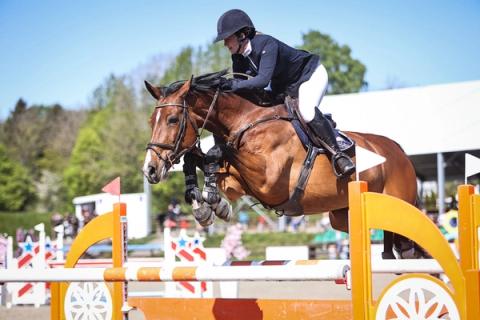 hest / Norges Rytterforbund / Rebekka Lie Hafskjold