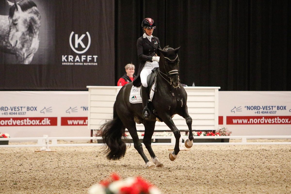 hest / Norges Rytterforbund / Isabel Freese