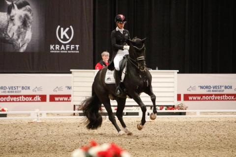 hest / Norges Rytterforbund / Isabel Freese