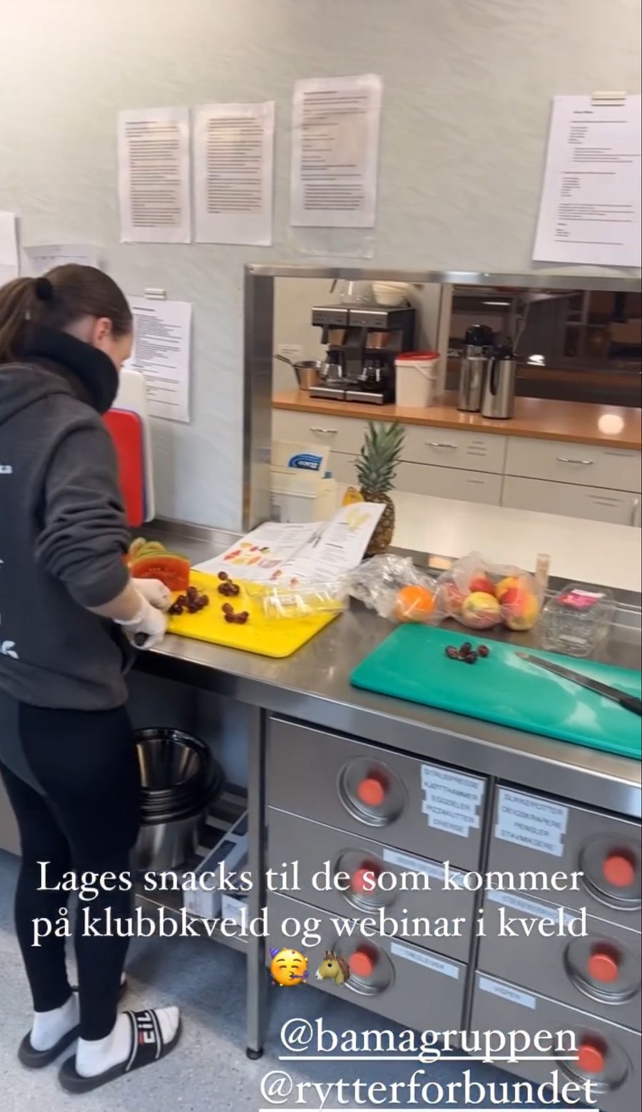 hest / Norges Rytterforbund