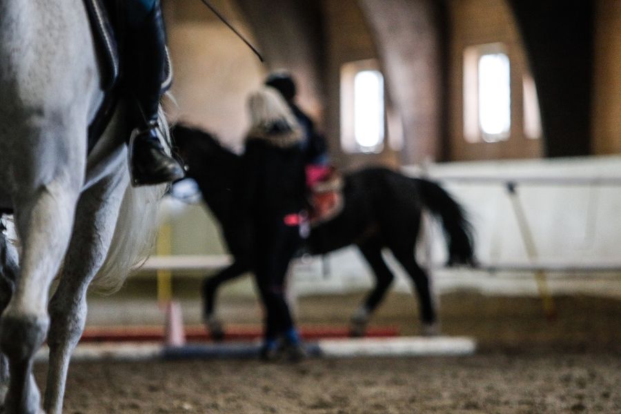 hest ridning rideskole