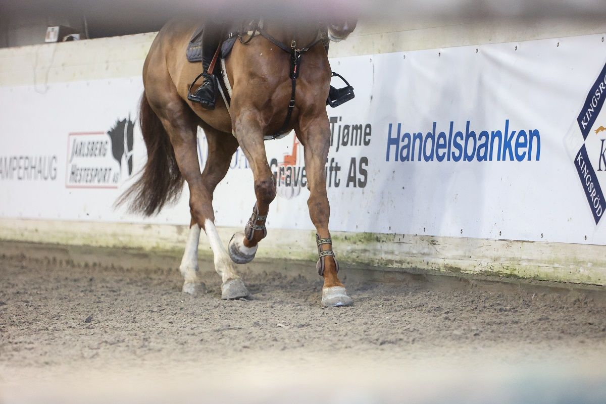 hest / Norges Rytterforbund