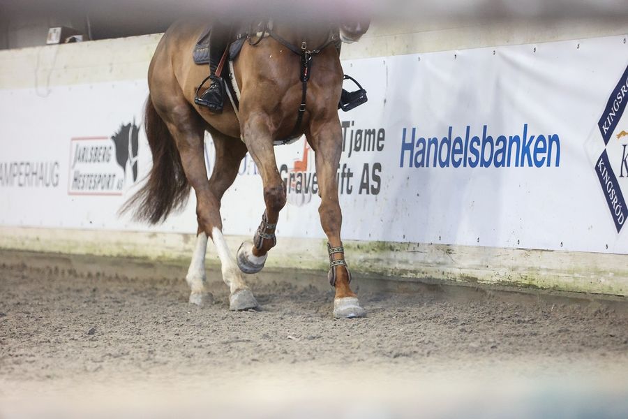 hest / Norges Rytterforbund