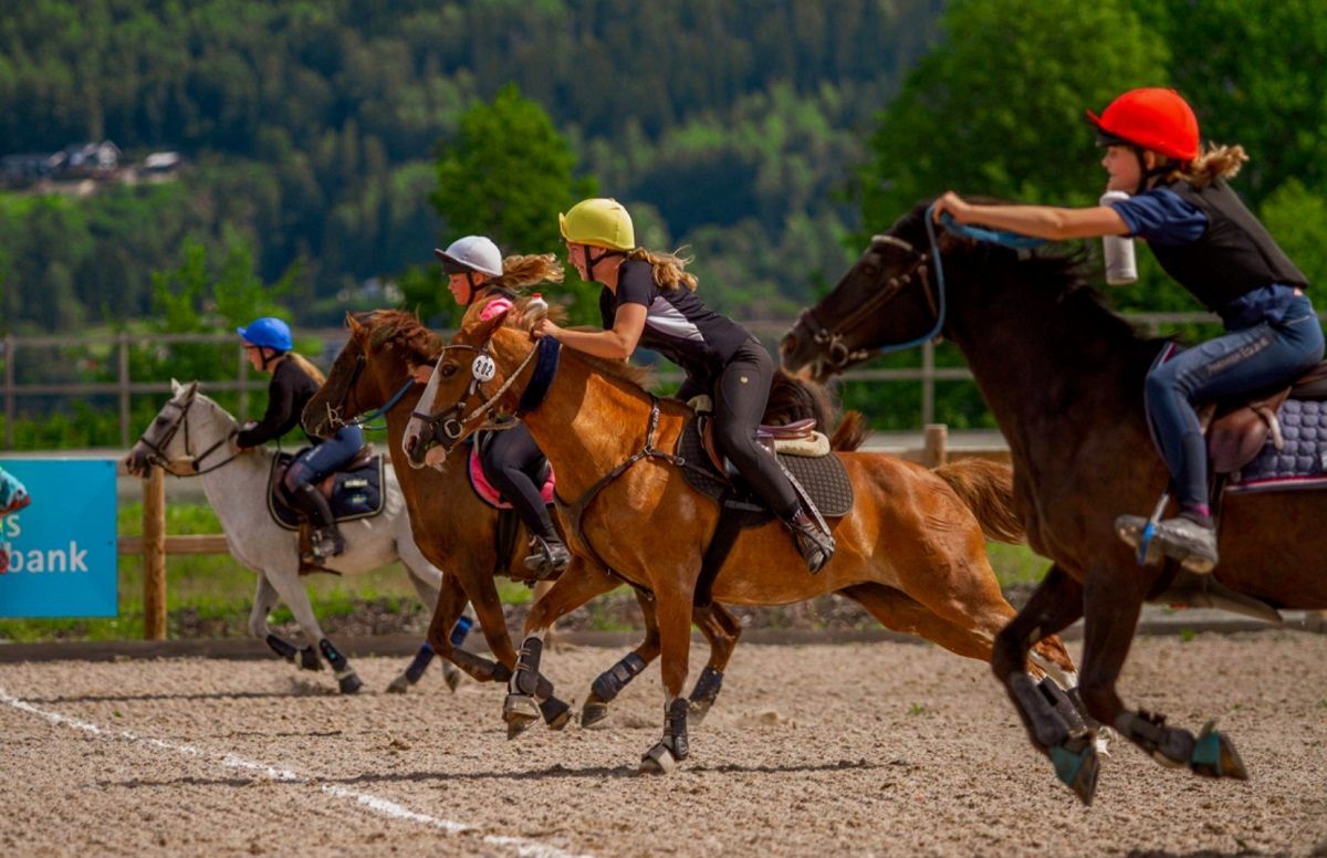 Hest ponni Mounted Games