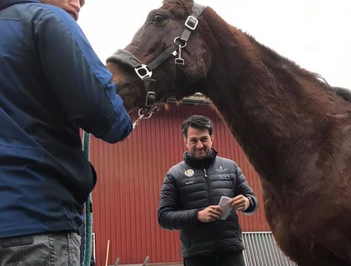 hest / Norges Rytterforbund 