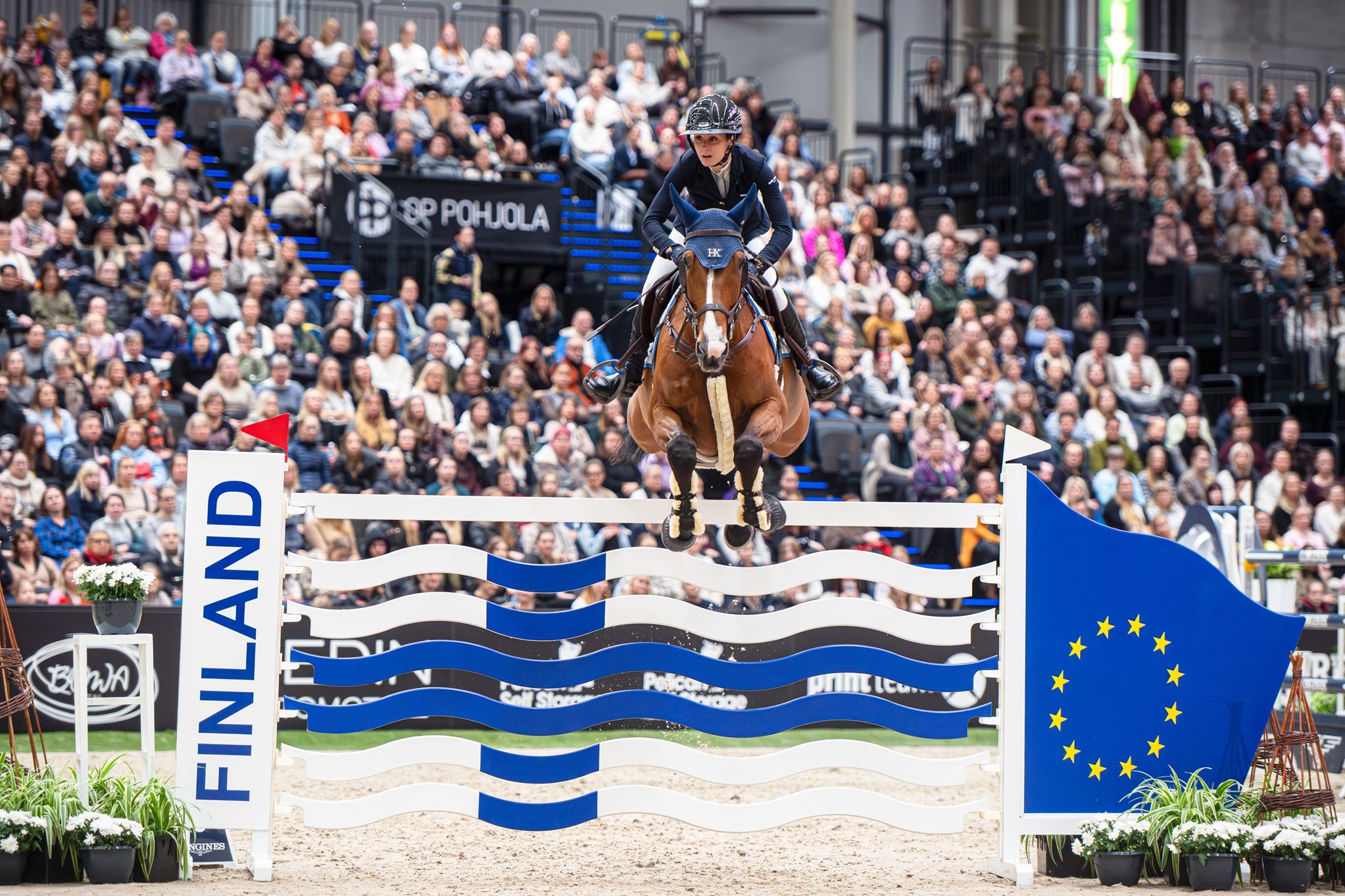 hest / Norges Rytterforbund