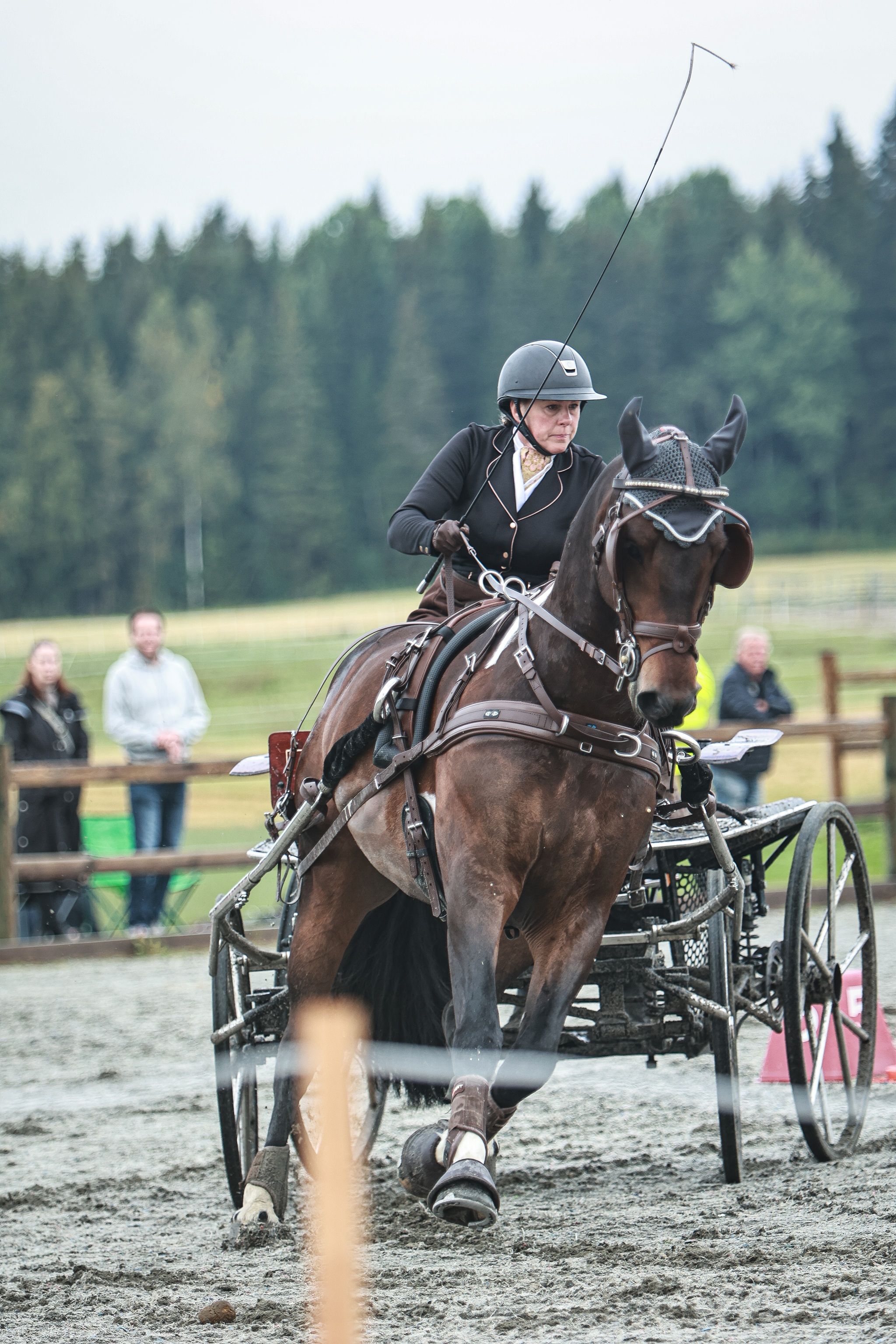 Lise Kosmo Gylseth kjørte inn til sølv i seniorenes NM. (Foto: NRYF)