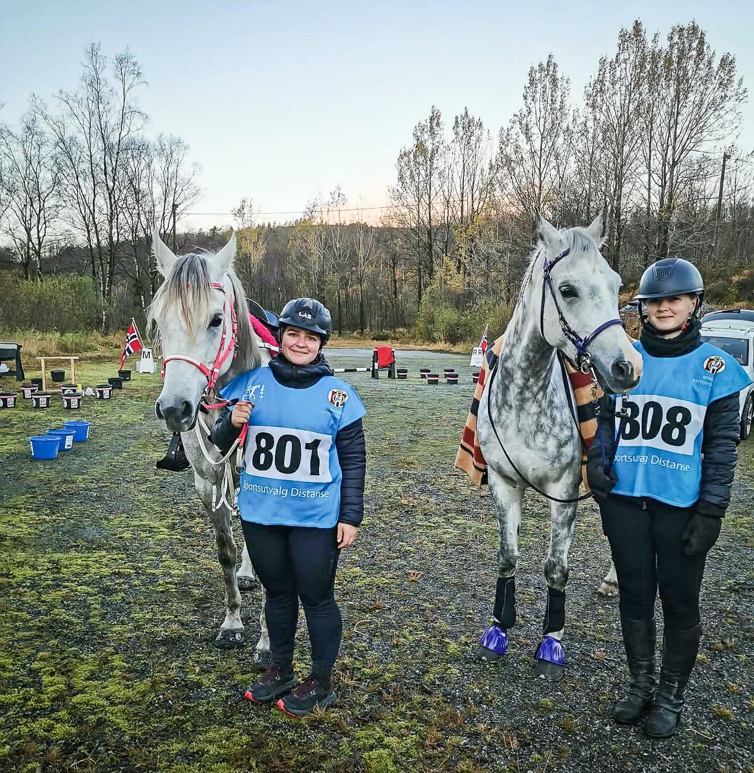 hest / Norges Rytterforbund / distanse