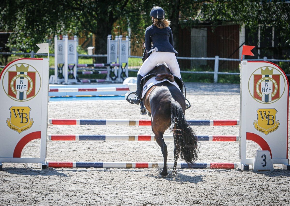 hest / Norges Rytterforbund