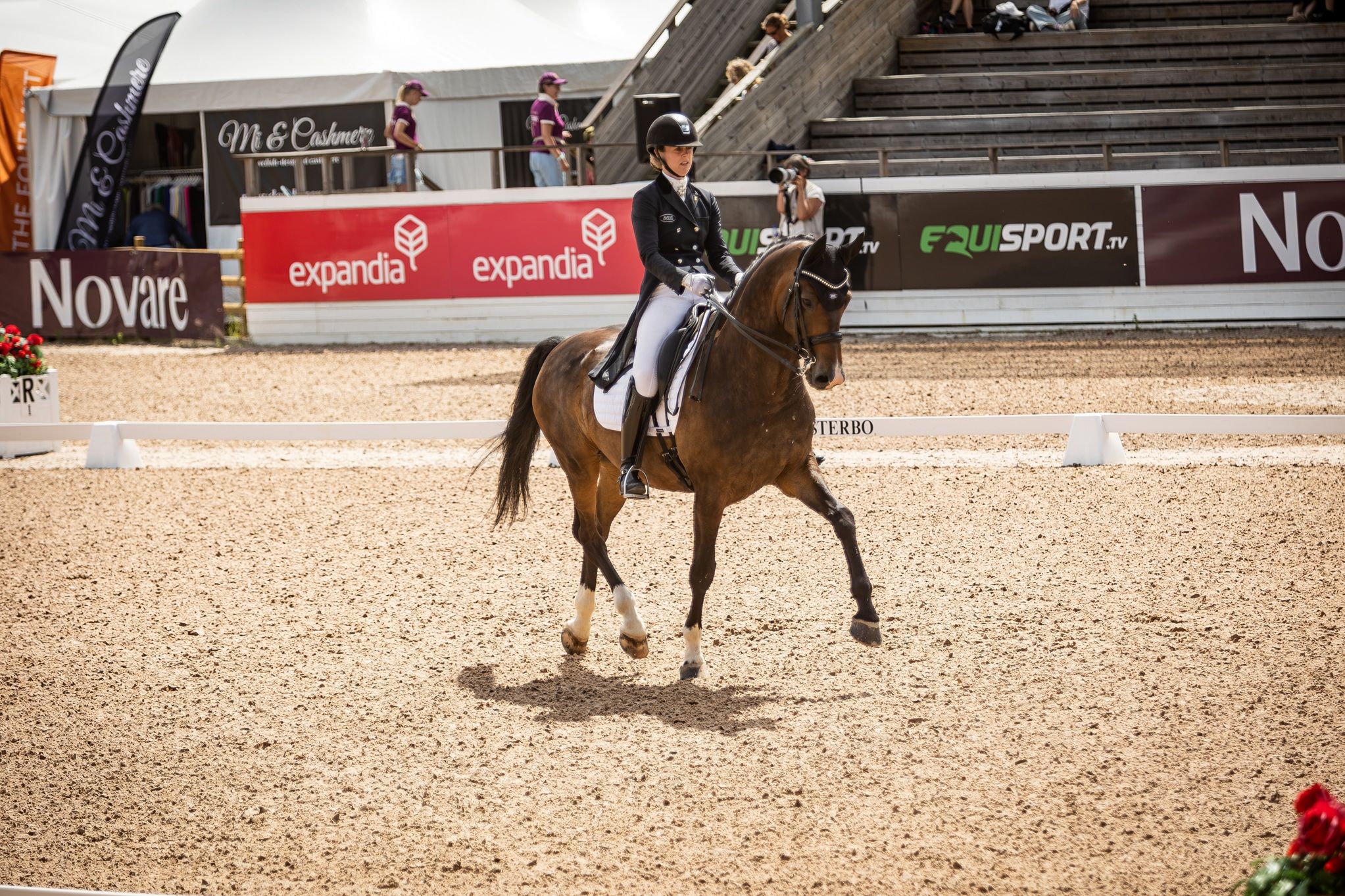 hest / Norges Rytterforbund / Trude Hestengen