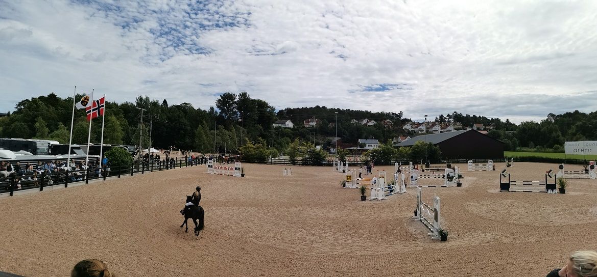 hest / Norges Rytterforbund / Arendal og Grimstad Rideklubb