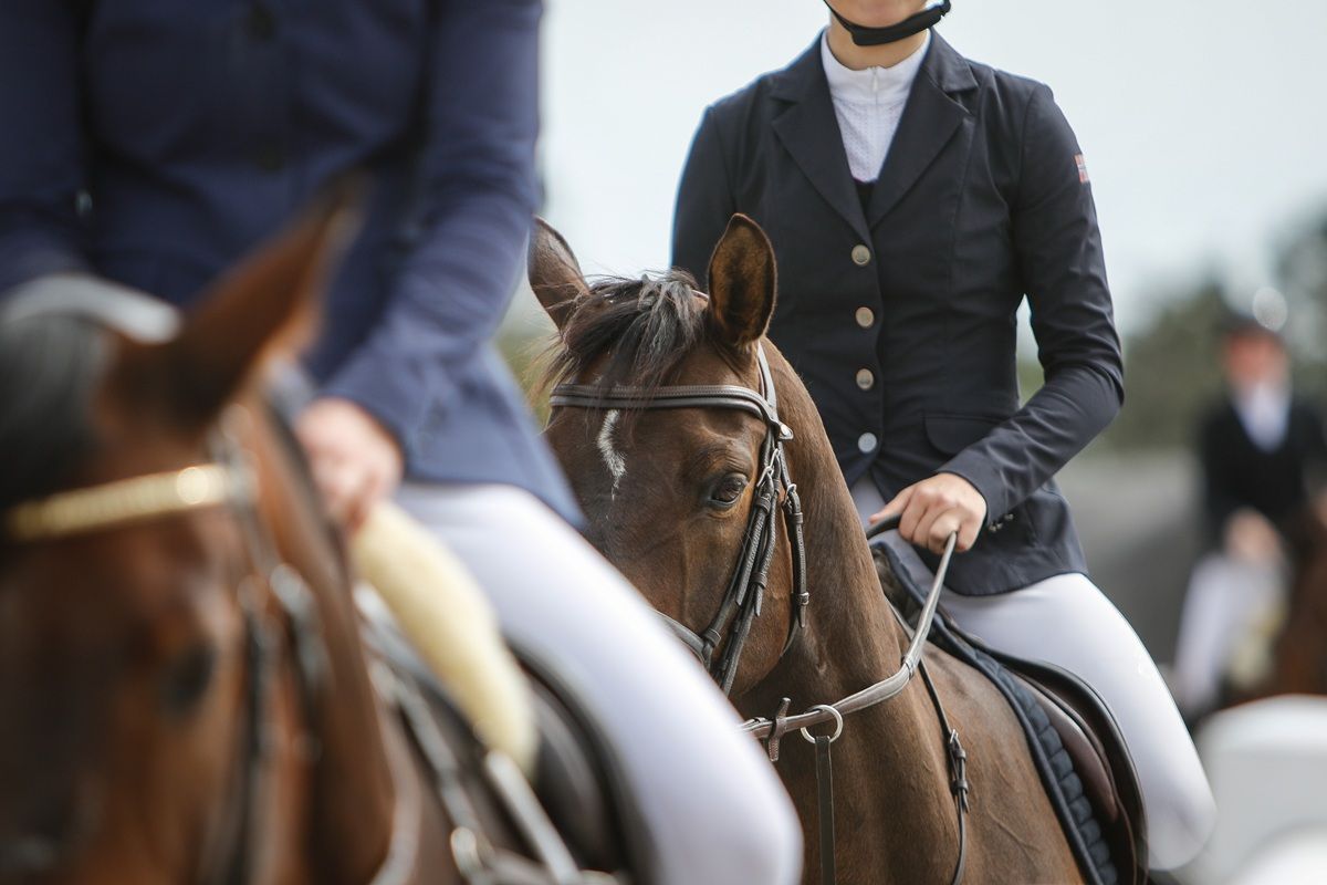 hest / Norges Rytterforbund