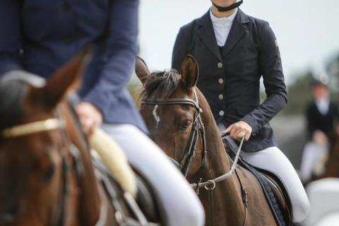 hest / Norges Rytterforbund