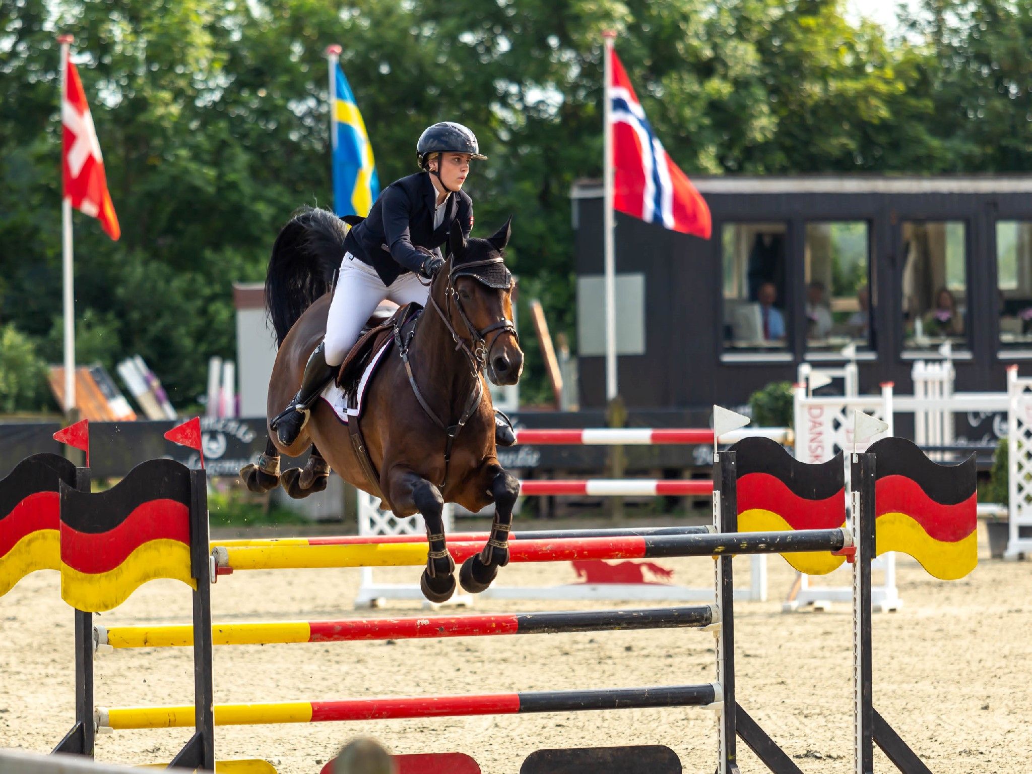 hest / Norges Rytterforbund