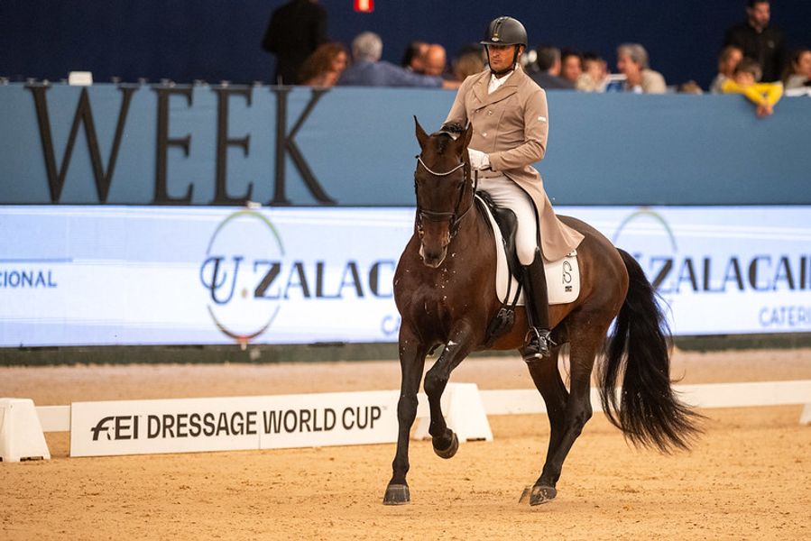 PRE / P.R.E. / dressur / hest / World Cup / Jose Daniel Martin Dockx / Norges Rytterforbund