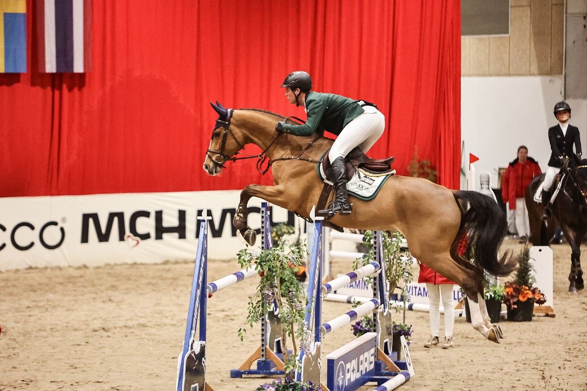 hest / Norges Rytterforbund