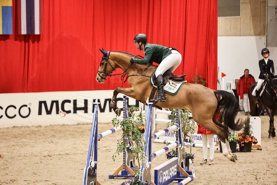 hest / Norges Rytterforbund