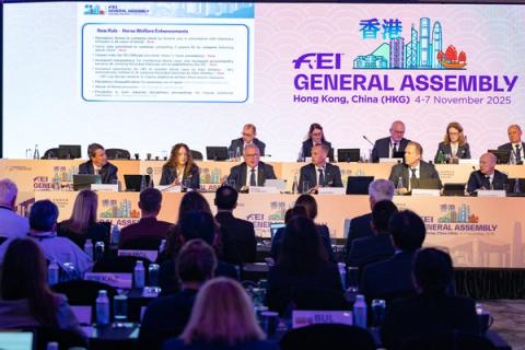 FEI General assembly / Hongkong / FEI