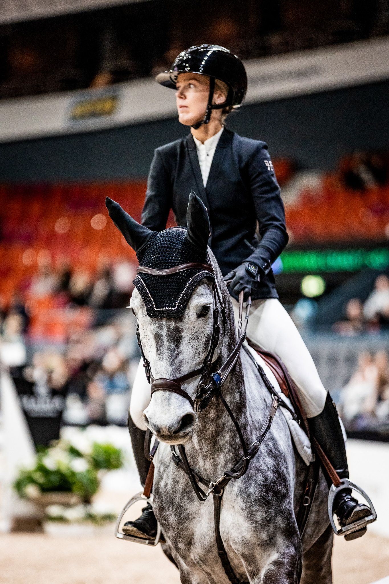 hest / Norges Rytterforbund / Marthe Helgestad