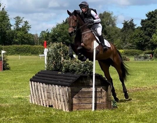 hest / Norges Rytterforbund
