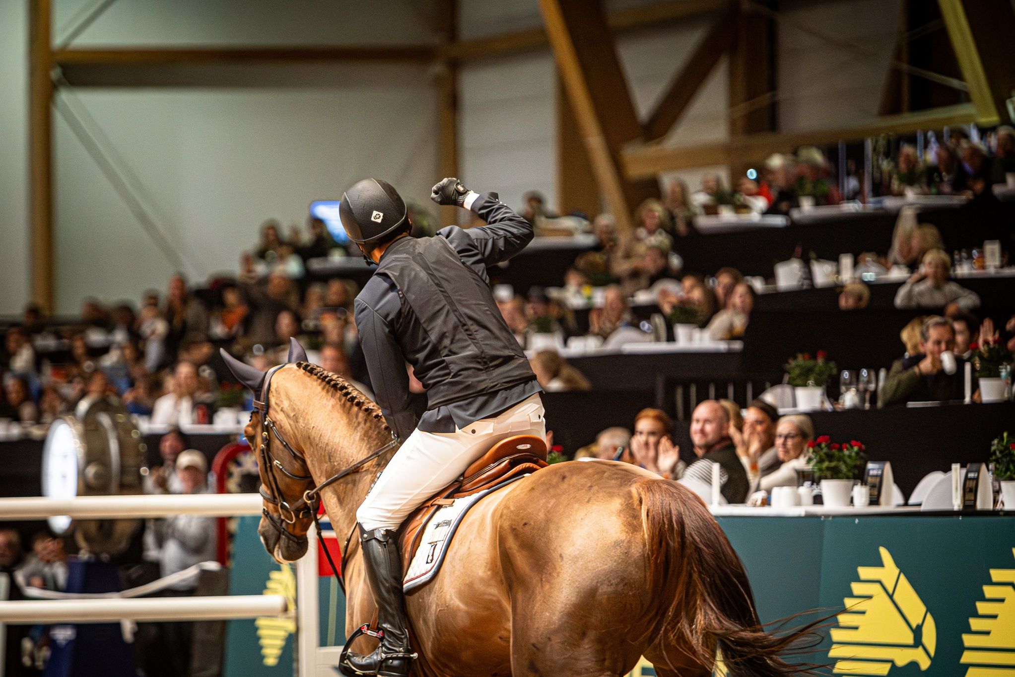 hest / Norges Rytterforbund