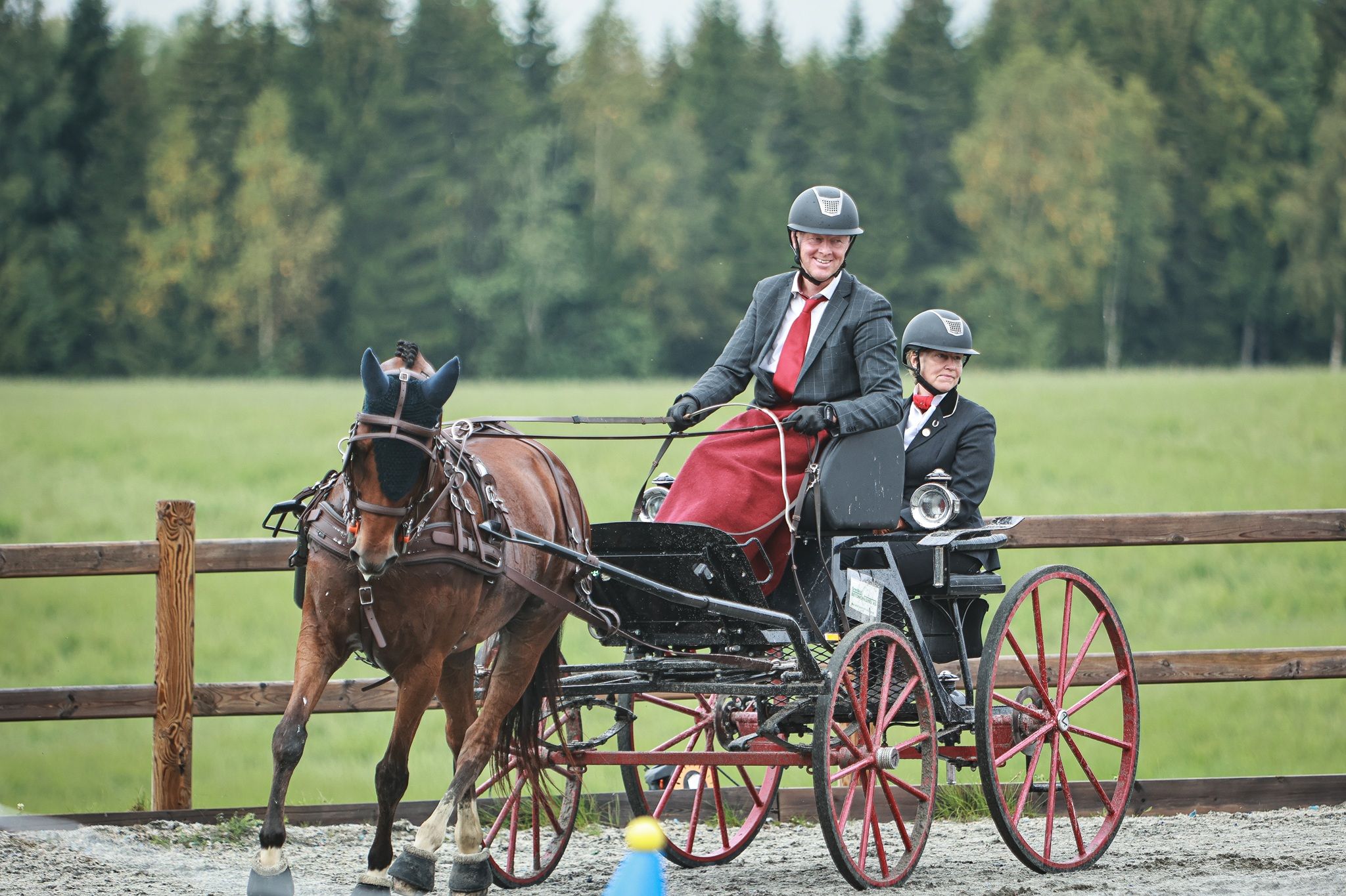 hest / Norges Rytterforbund 