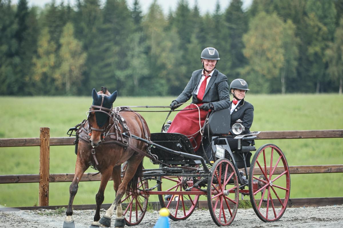 hest / Norges Rytterforbund