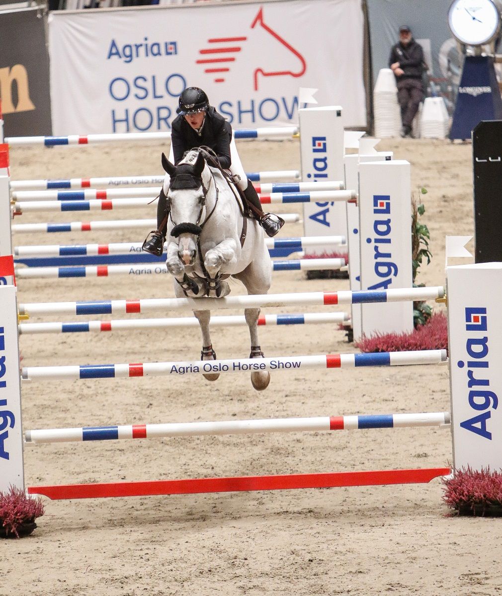 hest / Norges Rytterforbund