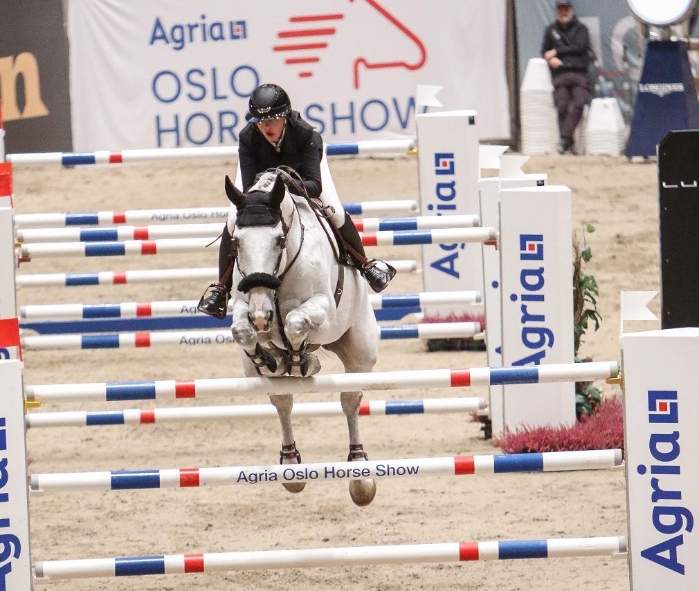 hest / Norges Rytterforbund