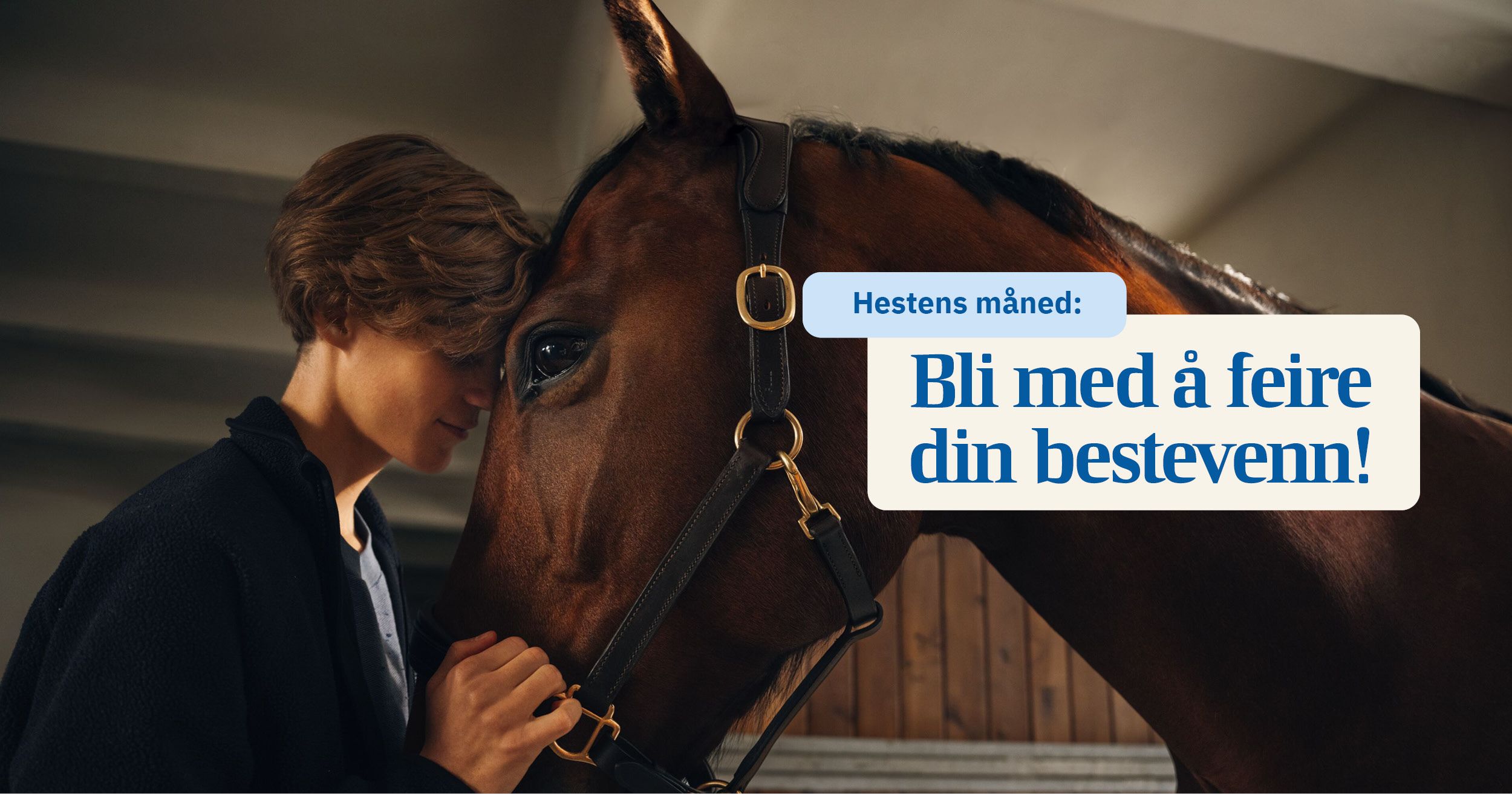 hest / Norges Rytterforbund / Agria / Hestens måned