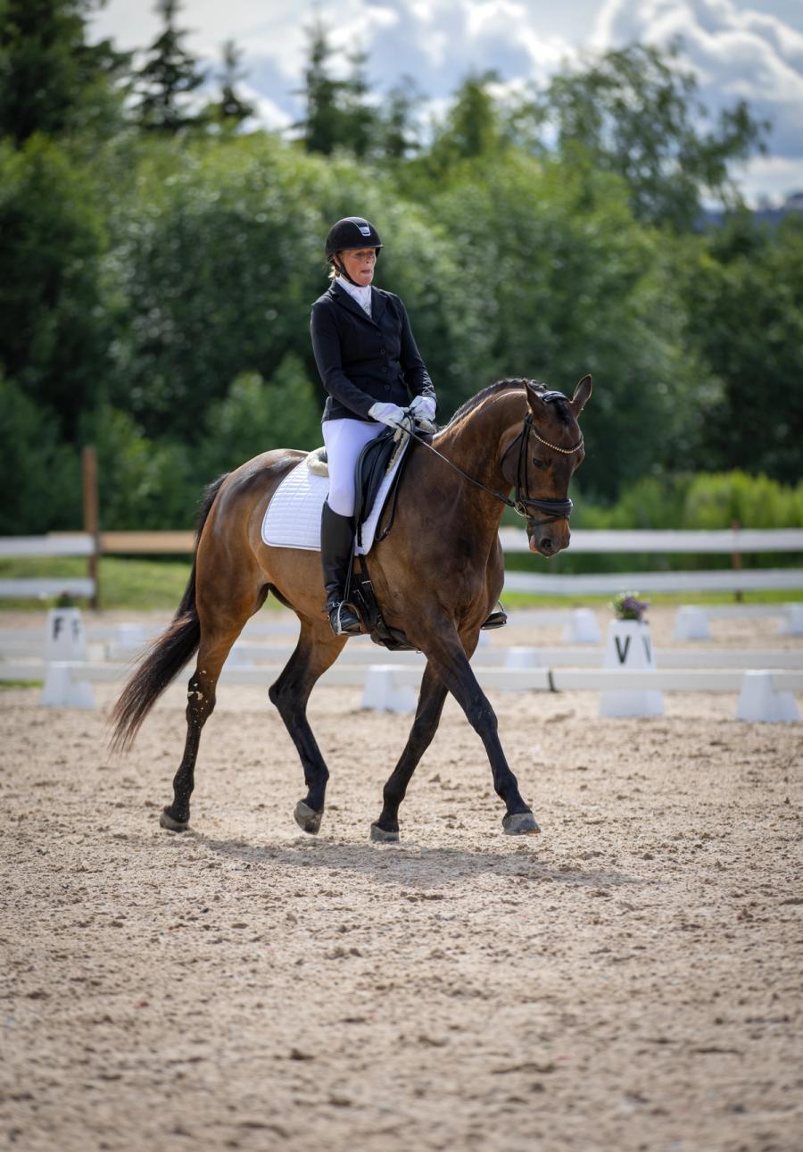 Lisbeth Sletten Eriksen/ hest/ dressur/ nryf