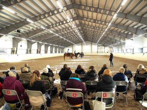 hest / Norges Rytterforbund