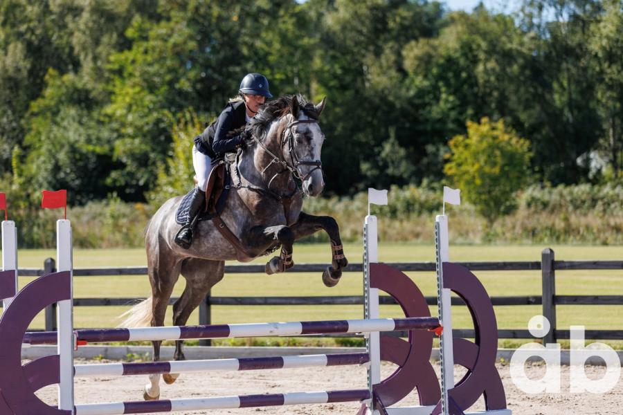 VINNER BREEDERS OPEN 4-ÅRINGER: Mathilde Kristine Kalland og NV-vallaken Engas Klementino, oppdrettet av Kady Besseberg.