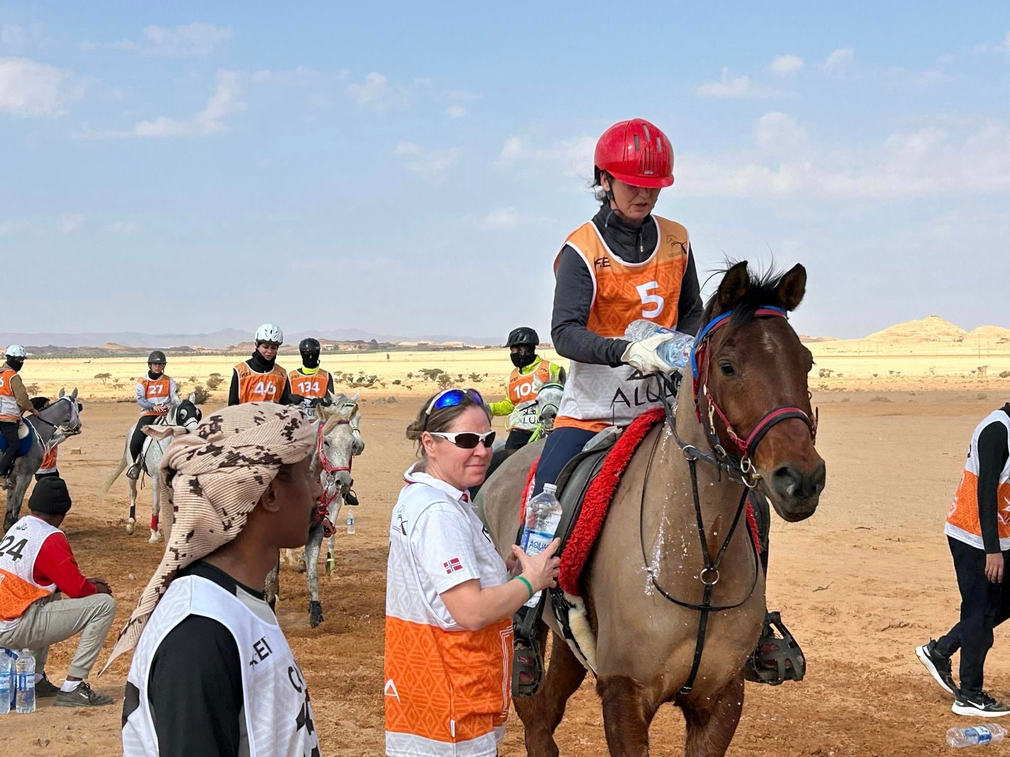 hest / Norges Rytterforbund