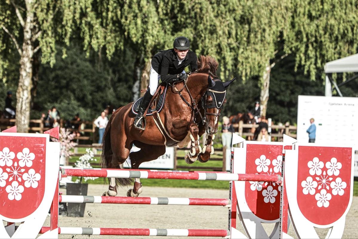 hest / Norges Rytterforbund