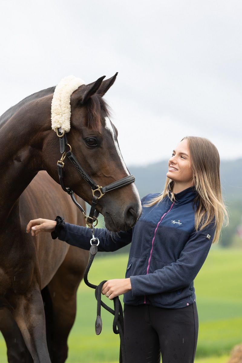 hest / Norges Rytterforbund