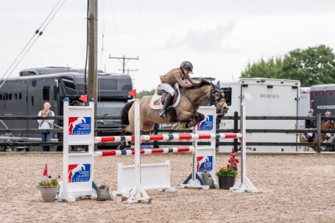 hest / Norges rytterforbund